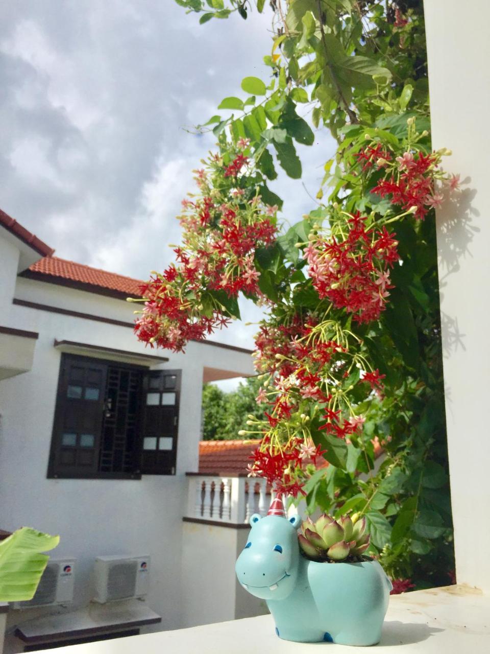 Holy Land Homestay ホイアン エクステリア 写真